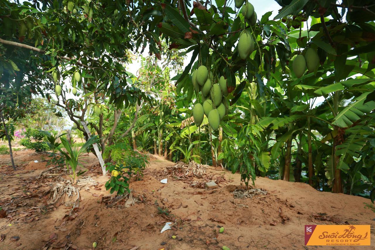 Suoi Hong Resort Mui Ne Bagian luar foto
