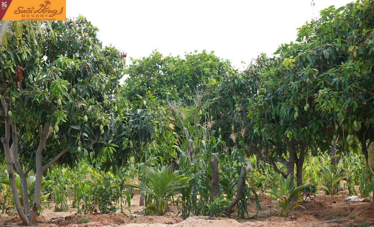 Suoi Hong Resort Mui Ne Bagian luar foto